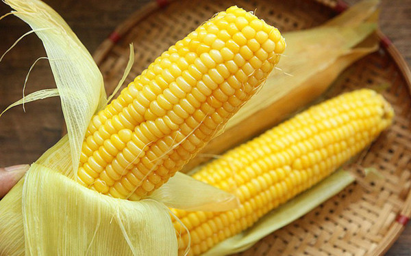 Đặc biệt, ngô luộc chứa nhiều vitamin E, chất xơ và magie nhưng ít chất béo. Tiêu thụ ngô luộc ở mức độ vừa phải sẽ giúp bạn tránh tích mỡ trong cơ thể.