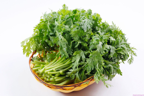 Mùi hắc như thuốc Đông y của cải cúc khiến mùi lẩu nồng lên.