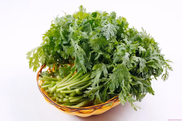 Mùi hắc như thuốc Đông y của cải cúc khiến mùi lẩu nồng lên.