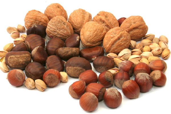 Không chỉ chứa nhiều dưỡng chất, những quả này còn được đánh giá giàu protein, sắt, selen, kẽm... vượt trội so với thịt, trứng, sữa. Nhờ đó, chúng giúp phát triển não bộ, tăng trưởng chiều cao tối ưu. Ảnh: Internet.