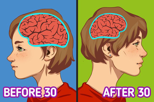 Não ngày càng nhỏ hơn. Não bộ không phát triển theo thời gian như nhiều người nhầm tưởng. Ngược lại, càng về già não càng thu nhỏ. Ước tính cơ thể bước sang tuổi 30, mỗi ngày cơ thể mất đi 50.000 tế bào thần kinh. Điều này ảnh hưởng trực tiếp đến trí nhớ con ngày. Đó là lí do vì sao già thì hay đãng trí.