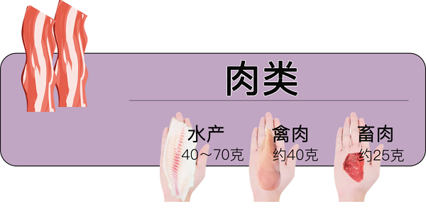 Thịt gia súc, gia cầm chỉ cần 40-75g; thủy sản dao động 40-75g. Bạn có thể đo bằng lòng bàn tay tương tự như hình. Ước tính, lượng thịt ăn mỗi ngày không nên quá 1 quả trứng khi được vo tròn.