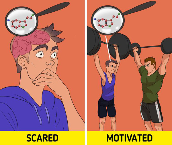 Sợ hãi giúp có thêm động lực. Không chỉ adrenaline, sợ hãi còn khiến cơ thể tiết ra hàng loạt hoạt chất khác, chẳng hạn như serotonin. Serotonin giúp não hoạt động hiệu quả hơn.
