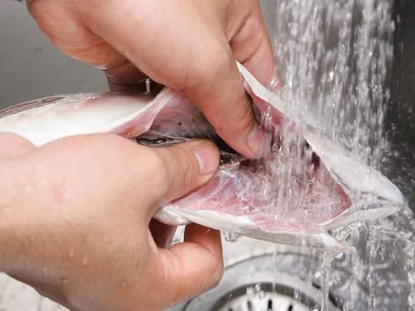 Do vậy, khi mổ cá cần loại bỏ chúng trước khi chế biến. Nếu vô tình làm vỡ mật, phải rửa sạch rồi mới đem kho nấu.