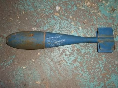 Theo thống kê, từ năm 1985 cho tới năm 2016, va chạm với chim đã gây ra cái chết cho 36 phi công của Không quân Mỹ - một thiệt hại khổng lồ so với giá thành đào tạo một phi công ngày nay. Nguồn ảnh: BI.