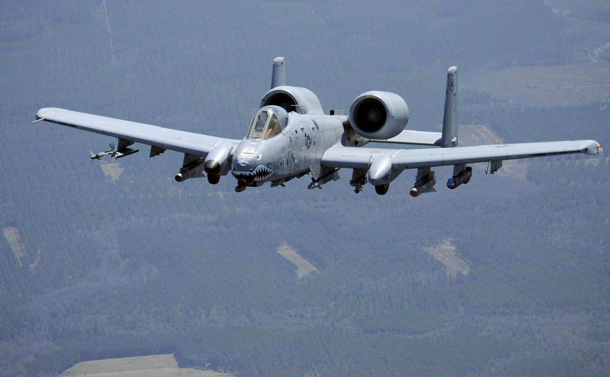 Tổng cộng kể từ năm 1995, Không quân Mỹ đã chịu tổn thất gần 1 tỷ USD để khắc phục hậu quả do những vụ tai nạn va chạm với chim trong tự nhiên gây ra. Nguồn ảnh: BI.