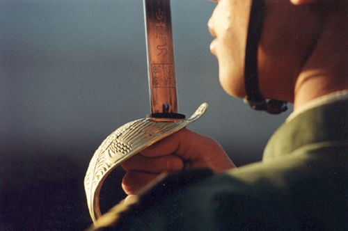 Đây được xem là di sản để lại từ quá khứ khi mà các lực lượng danh dự trên thế giới vốn dĩ đều sử dụng kiếm làm vũ khí danh dự khi duyệt đội hình. Trải qua thời gian, súng được thay thế nhưng chắc chắn trong đội danh dự vẫn phải có những thành viên sử dụng kiếm. Nguồn ảnh: Pinterest.