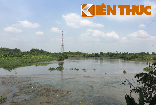 Sông Rạch Tra, nơi xảy ra vụ việc "xác chết trôi sông sống lại" vào năm 2010.