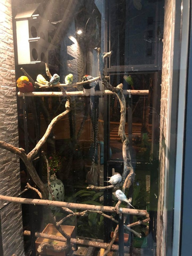 Quach Thanh Danh khoe mo hinh VAC trong biet thu 20 ty dong-Hinh-6