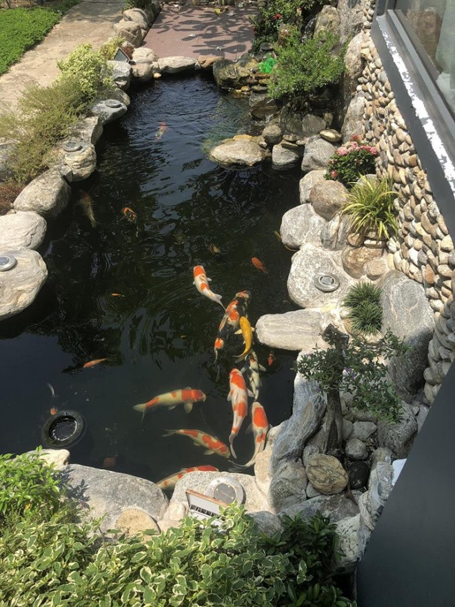 Quach Thanh Danh khoe mo hinh VAC trong biet thu 20 ty dong-Hinh-5