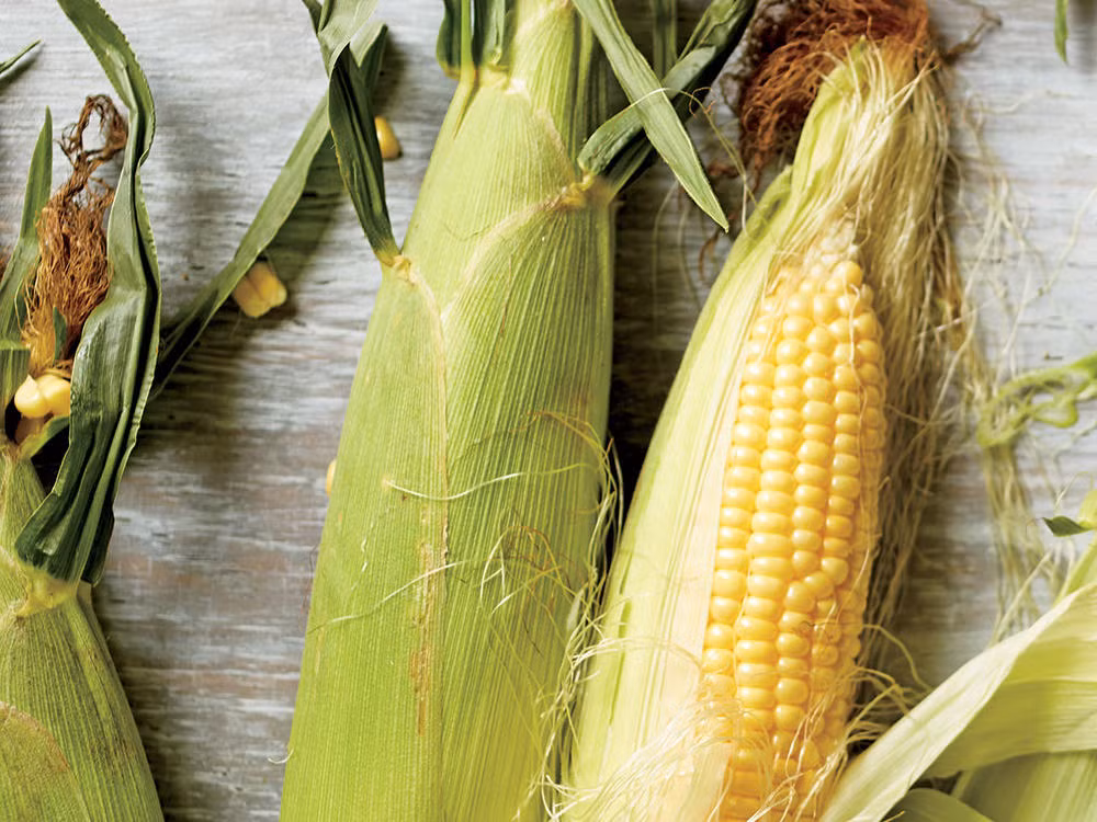 Râu ngô là bộ phận tưởng chừng như thứ bỏ đi, ấy vậy mà nó lại có tác dụng chữa bệnh viêm bàng quang - nguyên nhân của chứng đi tiểu nhiều lần. (Nguồn Cookinglight)