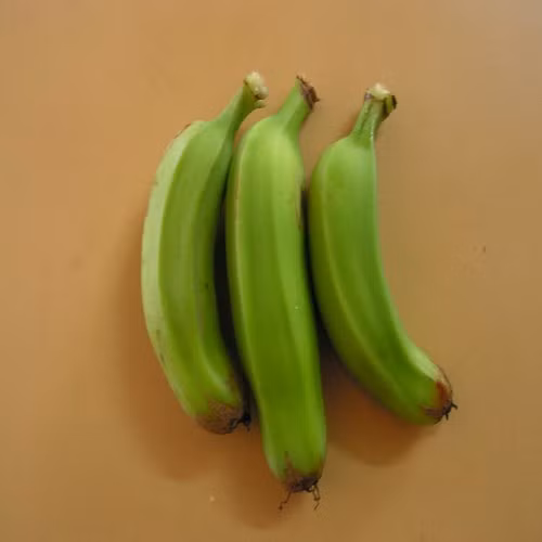 Tinh bột phản tính trong chuối xanh còn có khả năng kiềm chế các vi khuẩn độc hại gây viêm, ung thư đại tràng. (Nguồn Imimg)