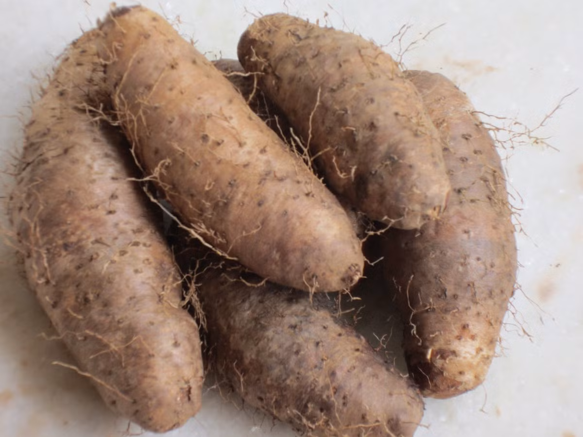 Củ từ cũng là thực phẩm có tác dụng trong việc giúp “cô bé” hết “khô hạn”. Loại củ này chứa thành phần diosgenin cân bằng progesterone, đồng thời các thành phần trong củ từ giúp cơ thể sản sinh ra serotonin khiến tinh thần vui tươi, yêu đời. (Nguồn Blogspot)