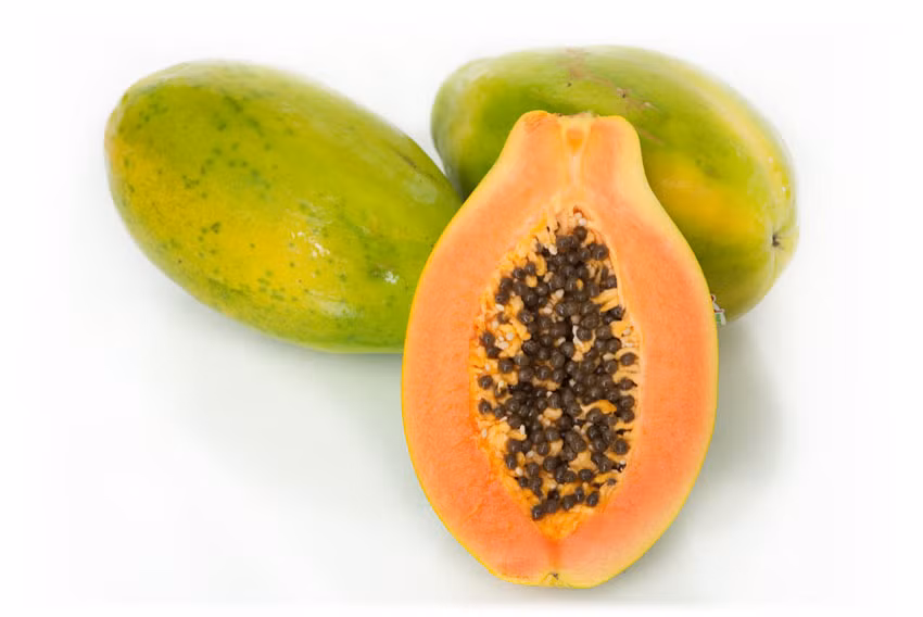 Trong khi đó, nhựa cây đu đủ lại có tác dụng diệt sán rất nhạy. Thậm chí, men papain có trong nhựa đu đủ còn được dùng để điều chế làm thuốc trị giun. (Nguồn Buyfruit).