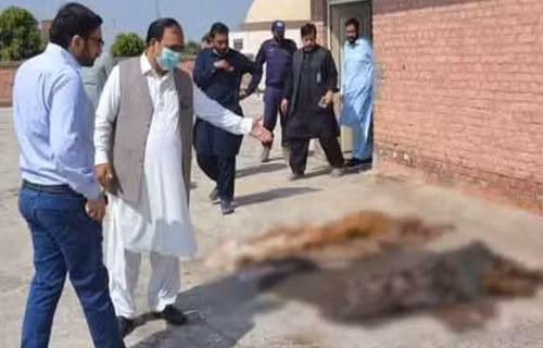 Loat thi the mat noi tang tren noc benh vien gay rung dong-Hinh-2