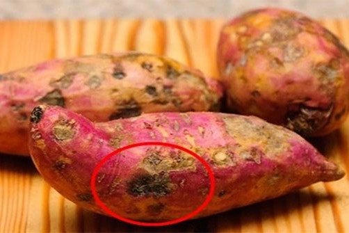 Hai me con ung thu gan vi cho 3 thu nay vao chao-Hinh-3