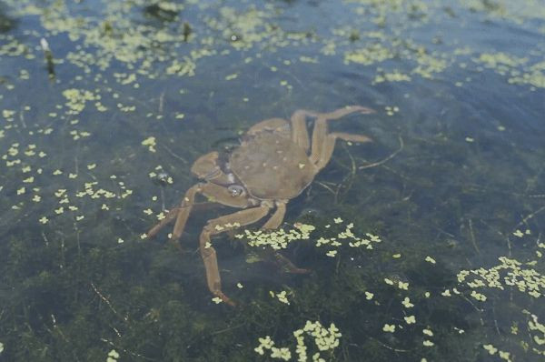 Nuot song cua “tra thu” cho con, bo gap chuyen kinh di