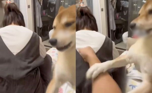 Chong gia vo danh vo, cho cung lam dieu ai cung phuc