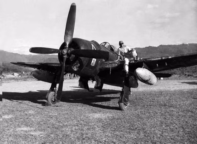 Không quân đóng vai trò quan trọng đối với tập đoàn cứ điểm Điện Biên Phủ của Pháp. Mẫu chiến đấu cơ Grumman F8F Bearcat của Mỹ được người Pháp mang tới lòng chảo Điện Biên nhằm chống lại các đợt tiến công của Quân đội Nhân dân Việt Nam.