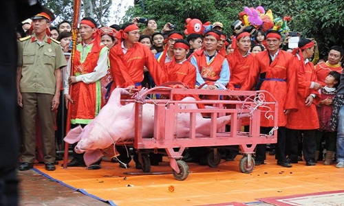 Dan Nem Thuong van khai dao chem lon