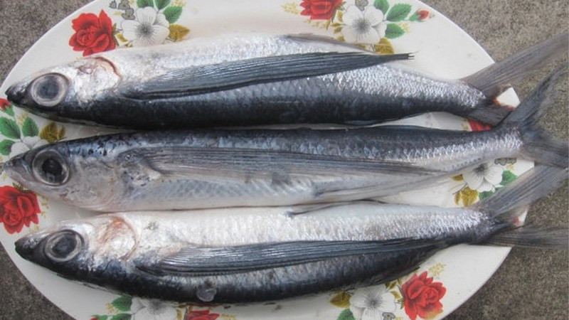 Tại vùng biển Quảng Nam – Đà Nẵng được xem là nơi có nhiều cá chuồn nhất. Đây cũng là tỉnh nổi tiếng bởi những món ăn đặc sản được làm từ cá chuồn.