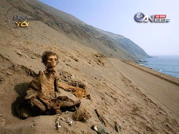 Nắng hạn khô cằn ở Sa mạc Atacama.