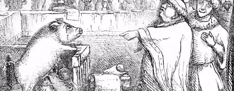 Một vụ án "kinh điển" như vậy diễn ra vào ngày 9/1/1386. Khi ấy, tòa án tại Falaise, Pháp đã đưa một con lợn ra xét xử.