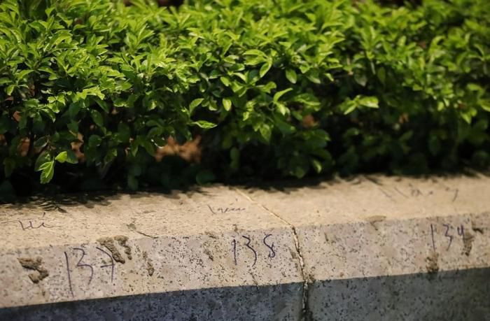 Chưa hết, có người còn viết lên cả vỉa hè, bồn hoa (Ảnh: Anh Thư)