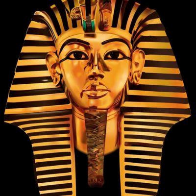 Do Pepi II lên ngôi khi còn nhỏ tuổi nên thời gian đầu mẹ của ông là Ankhesenpepi giữ vai trò nhiếp chính.