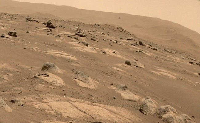 Đến ngày thứ 6 của thí nghiệm, sự khác biệt được thể hiện rõ. Cụ thể, những cây mọc từ mẫu đất Mặt trăng sinh trưởng chậm hơn và rễ còi cọc hơn so với cây mọc từ đất lấy từ Trái đất.