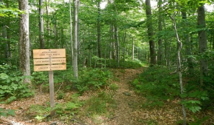 Trong khi giới chức trách chưa tìm ra Paula, một giả thuyết cho rằng cô có thể bị người ngoài hành tinh bắt cóc. Tuy nhiên, giả thuyết này không có chứng cứ xác thực. Đến nay, sự việc này vẫn là một trong những vụ mất tích bí ẩn nhất nước Mỹ.