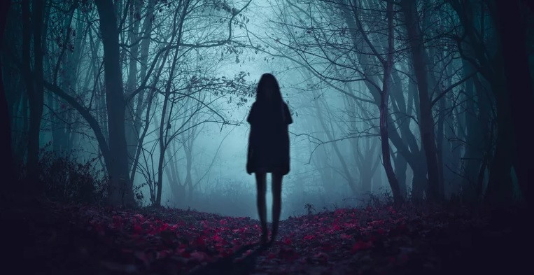 Một cặp vợ chồng lớn tuổi cho hay đã nhìn thấy Paula tại một con đường mòn. Thế nhưng, cô đột nhiên biến mất sau khi rẽ vào một góc đường. Sau đó, không ai nhìn thấy Paula.