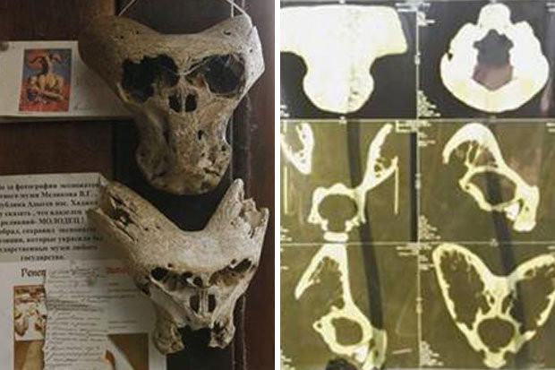 Bên ngoài chiếc hòm có khắc ký hiệu tổ chức bí mật Ahnenerbe của Đức quốc xã hoạt động từ năm 1939 - 1945.