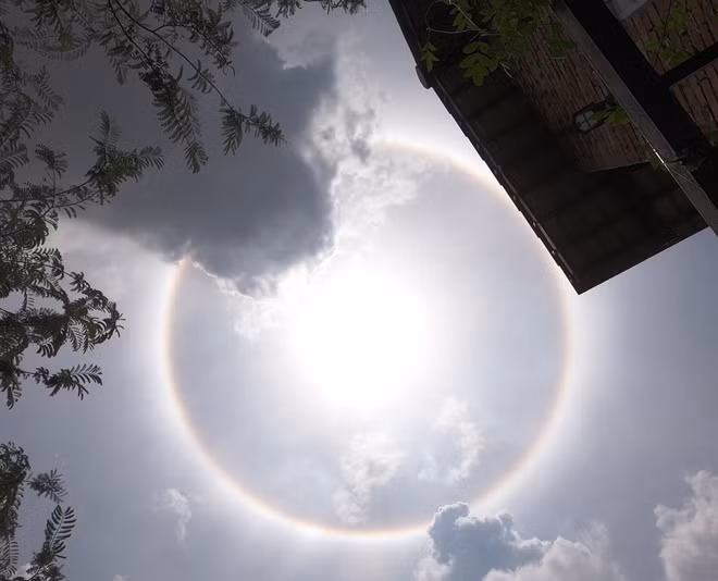 Quầng mặt trời thường là dấu hiệu dự báo mưa. Tuy nhiên, một số quầng mặt trời chỉ đơn thuần là tín hiệu cho thấy lượng nước ở thượng quyển gia tăng.