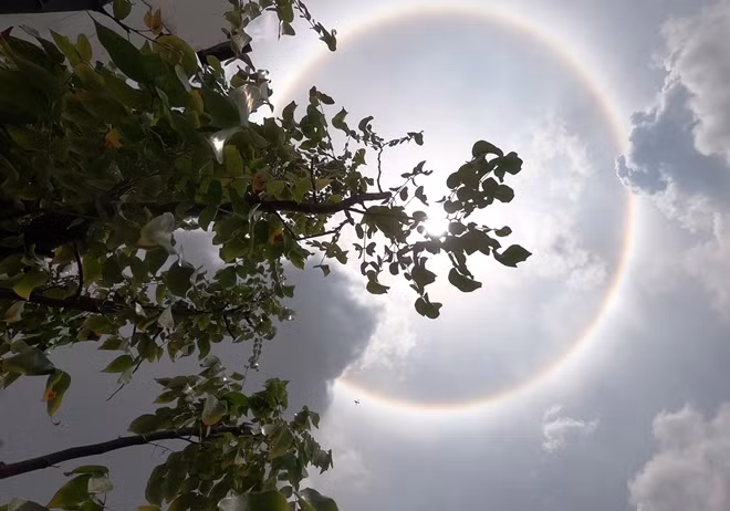 Trưa ngày 24/8/2020, nhiều người dân tỉnh Hà Nam và một số tỉnh lân cận như Nam Định, Thái Bình đã chụp được nhiều bức ảnh về quầng mặt trời tuyệt đẹp.