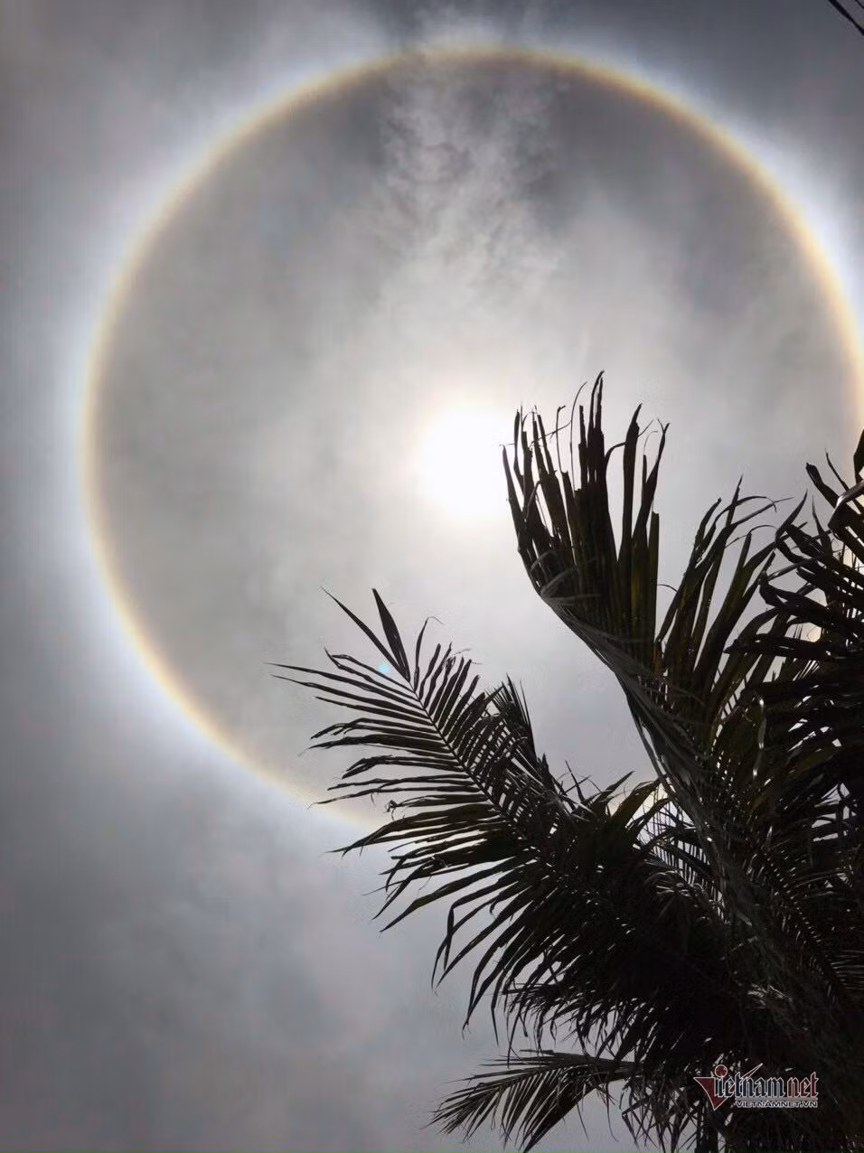 Quầng mặt trời xuất hiện ở huyện Vạn Ninh từ 11h và rõ nét nhất khoảng 12h30 - 13h. Sau đó, quầng mặt trời mờ dần và biến mất.