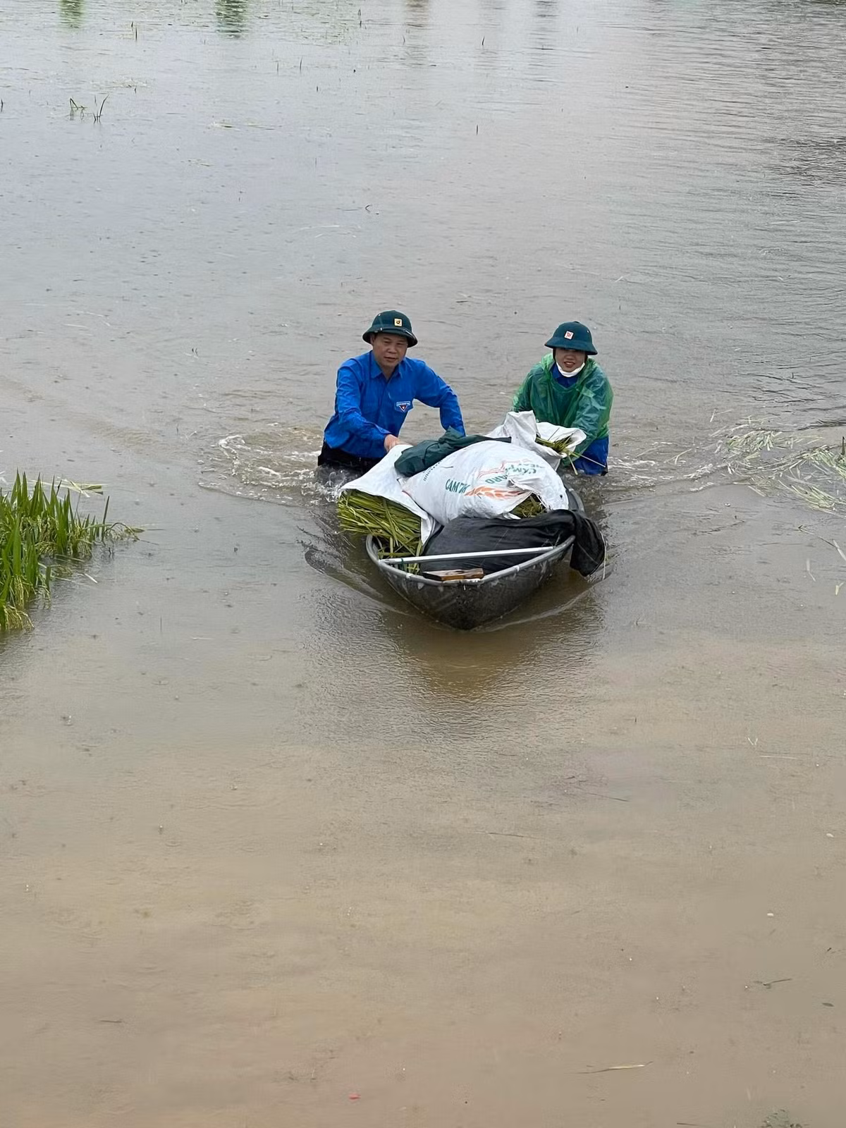 Màu áo Đoàn trong biển . hỗ trợ nhân dân chạy lúa bị ngập