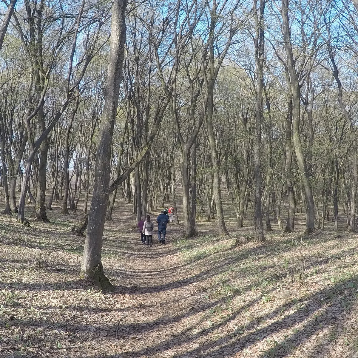 Đến nay, những sự việc kỳ bí xảy ra ở "tam giác quỷ" của Romania vẫn chưa có lời giải. Các chuyên gia hy vọng sẽ sớm giải mã được những bí ẩn về địa điểm kỳ bí này.