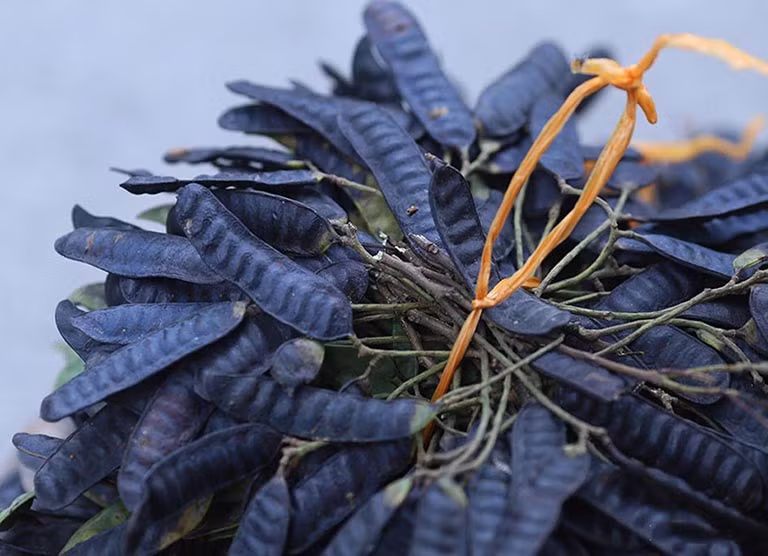 Để có mái tóc đen nháy, mượt mà óng ả, phụ nữ thời Nguyễn thường dùng dùng bồ kết gội đầu hoặc lấy nút bần (nút chai Champagne) đốt thành than rồi chấm lên tóc để che phủ phần tóc bạc. Trong khi đó, son môi được chế tạo chủ yếu từ sáp ong pha với phẩm màu. Sáp ong được dùng là sáp ong ruồi. Hỗn hợp này được trộn đều với nhau rồi sử dụng.