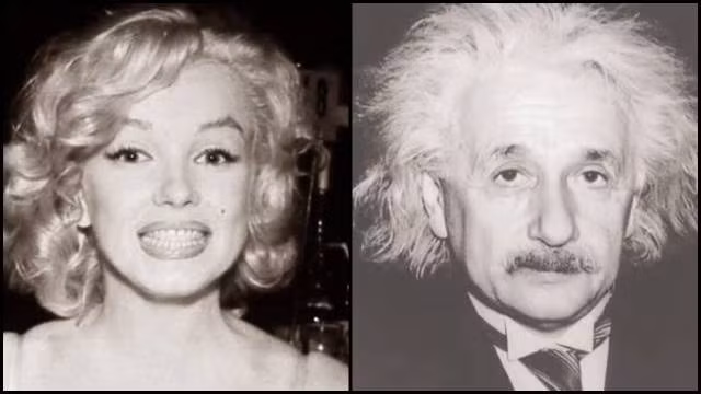 Ít ai có thể ngờ rằng, nữ diễn viên Marilyn Monroe có chỉ số IQ cao hơn thiên tài Albert Einstein. Trong khi Marilyn Monroe có chỉ số IQ từ 163 - 168 thì con số đó ở Albert Einstein là 160.