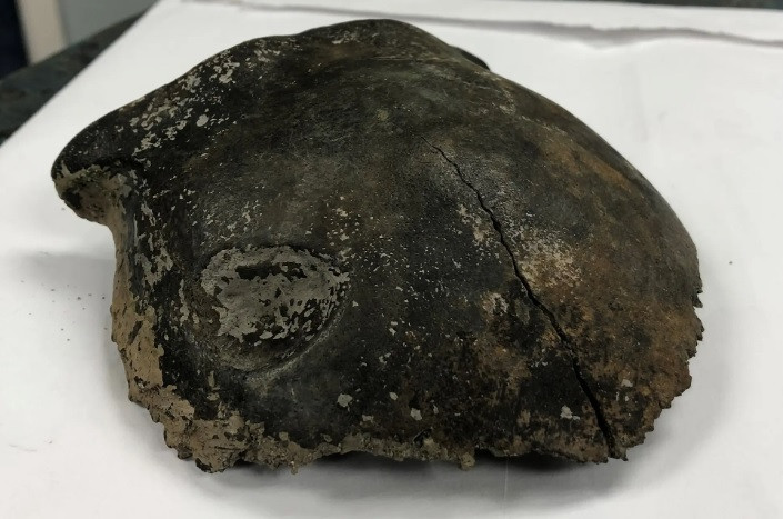 Các chuyên gia xác định được niên đại của hộp sọ thông qua phân tích hóa học cũng loại carbon được tìm thấy trong mảnh thi hài này.