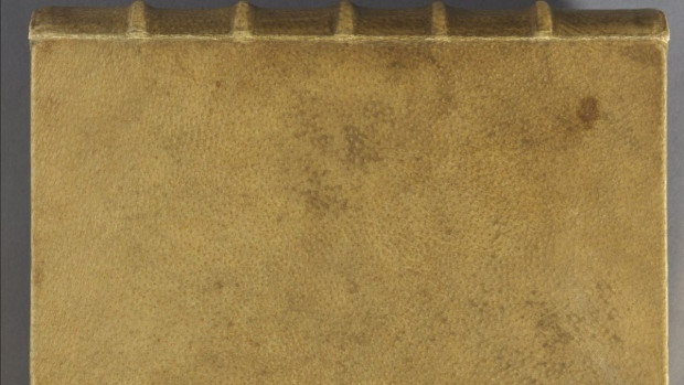 Các chuyên gia phát hiện bên trong cuốn sách "Số phận của linh hồn" có dòng ghi chú của ông Bouland có nội dung: “Một quyển sách nói về linh hồn con người xứng đáng được bao phủ bằng da người. Tôi đã đóng bìa sách bằng da lưng một phụ nữ”.