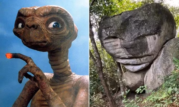 Sân sau của một trang trại tại Roraima, Brazil có đặt một tảng đá trông giống hệt người ngoài hành tinh. Hình dáng khác lạ của tảng đá thu hút hàng ngàn người ghé thăm.