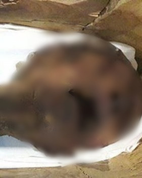 Tiếp đến, các chuyên gia không phát hiện bất cứ ký hiệu hay manh mối nào giúp xác định danh tính của "xác ướp la hét". Theo quan niệm của người Ai Cập cổ đại, tên họ là thứ quý giá nhất đối với mỗi người. Một xác ướp không ghi rõ danh tính cũng đồng nghĩa với việc họ không thể tới được thế giới bên kia hoặc đó có thể là một cách trừng phạt đối với kẻ phạm tội.