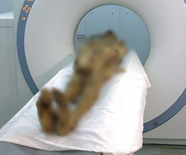 Nhờ vậy, nhóm chuyên gia nghi ngờ "xác ướp la hét" có thể là hoàng tử Pentewere - con trai của Pharaoh Ramses III. Vị hoàng tử này được cho là đã âm mưu giết cha để đoạt ngôi. Thế nhưng, kế hoạch thất bại nên hoàng tử Pentewere bị xử tử bằng cách treo cổ.