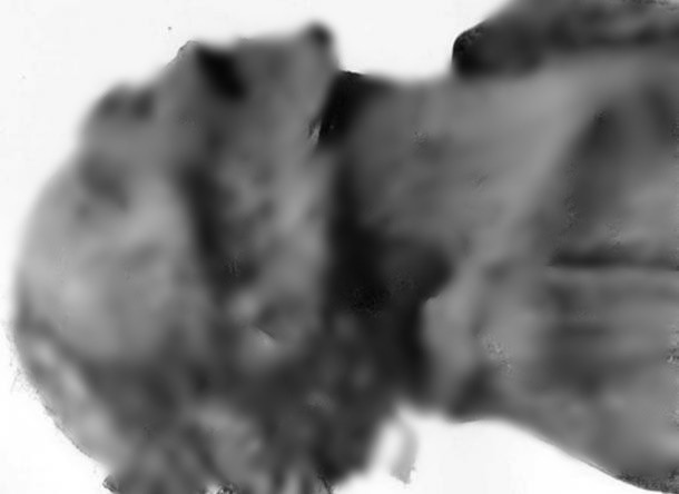 Về sau, các chuyên gia tiến hành kiểm tra, so sánh ADN của "xác ướp la hét" với một số thi hài thuộc tầng lớp quý tộc Ai Cập cổ đại được khai quật trước đó.