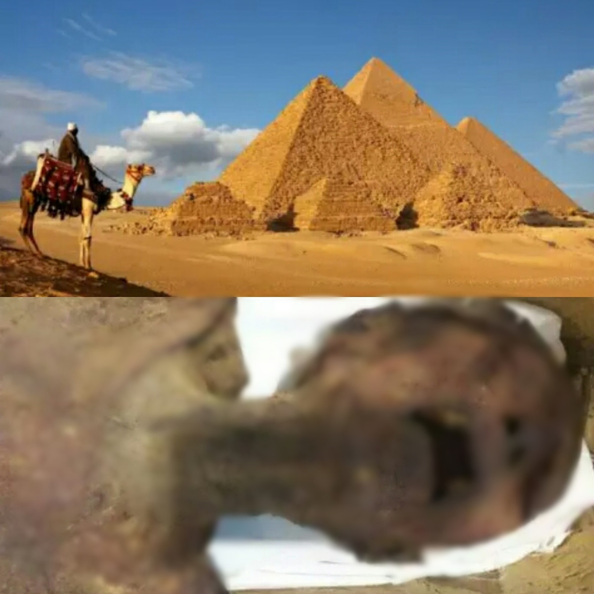 Việc bọc xác ướp bằng da động vật như cừu, dê được cho là ô uế, dơ bẩn và không tinh khiết. Không những vậy, người được mai táng theo cách này sẽ không thể sang được thế giới bên kia.