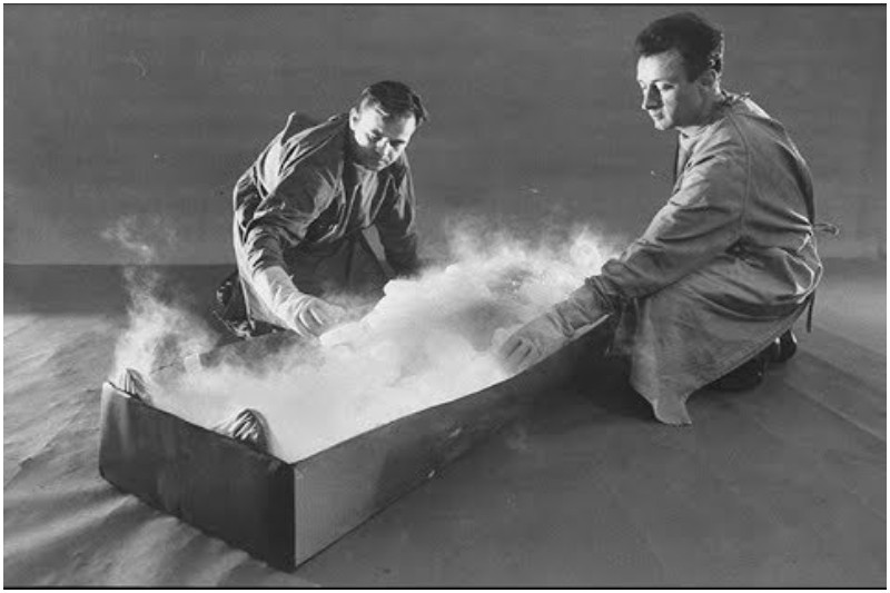 Ông Bedford đưa ra quyết định này sau khi Life Extension Society - tổ chức điện tử đầu tiên trên thế giới đề nghị đóng băng miễn phí người đầu tiên tham gia dự án Cryonics.