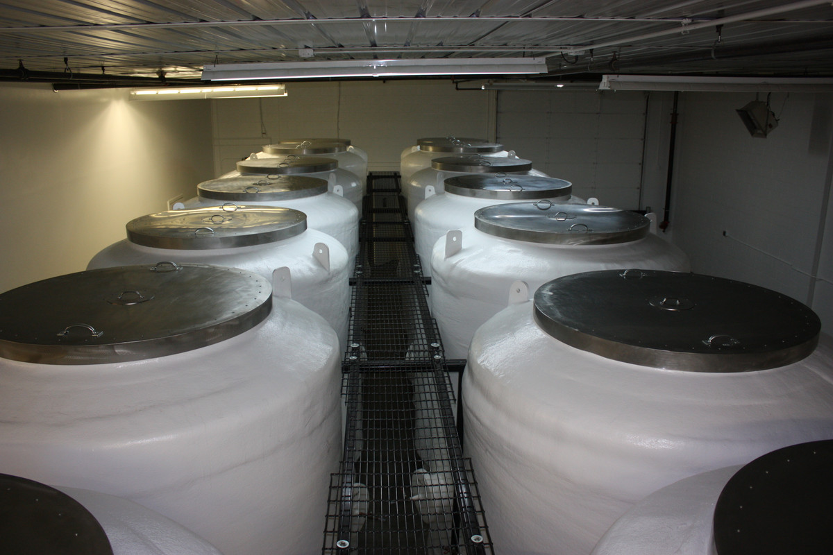 Vào ngày 25/5/1991, các chuyên gia kiểm tra tình trạng thi thể của bác sĩ Bedford lần đầu tiên sau hơn hai thập kỷ. Theo đó, họ phát hiện thi hài có một số dấu hiệu xuống cấp.