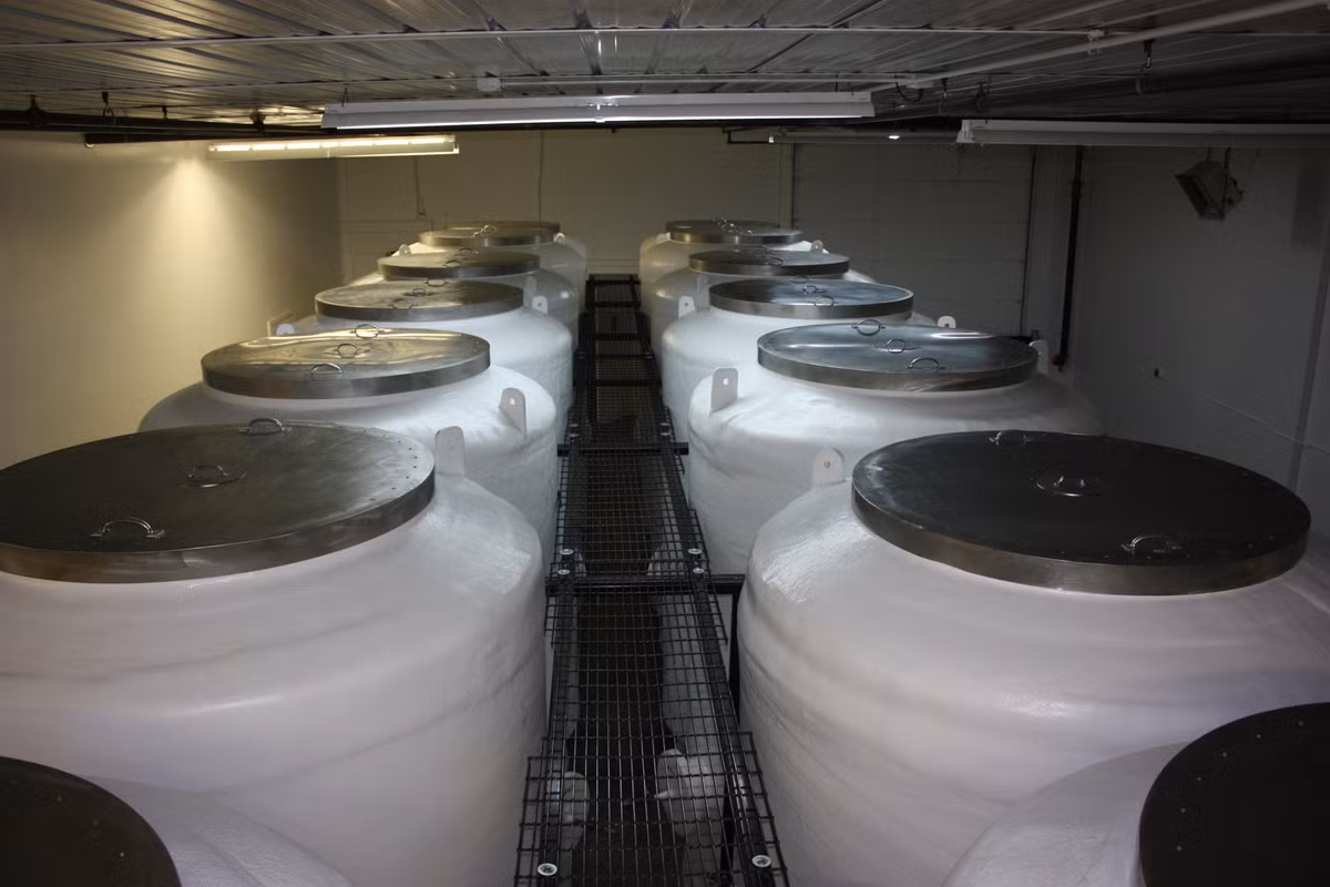 Vào ngày 25/5/1991, các chuyên gia kiểm tra tình trạng thi thể của bác sĩ Bedford lần đầu tiên sau hơn hai thập kỷ. Theo đó, họ phát hiện thi hài có một số dấu hiệu xuống cấp.